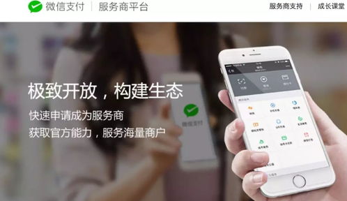 江蘇中理網絡科技 服務商定位、準入路徑與網絡技術服務解析